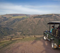 Game Drive
